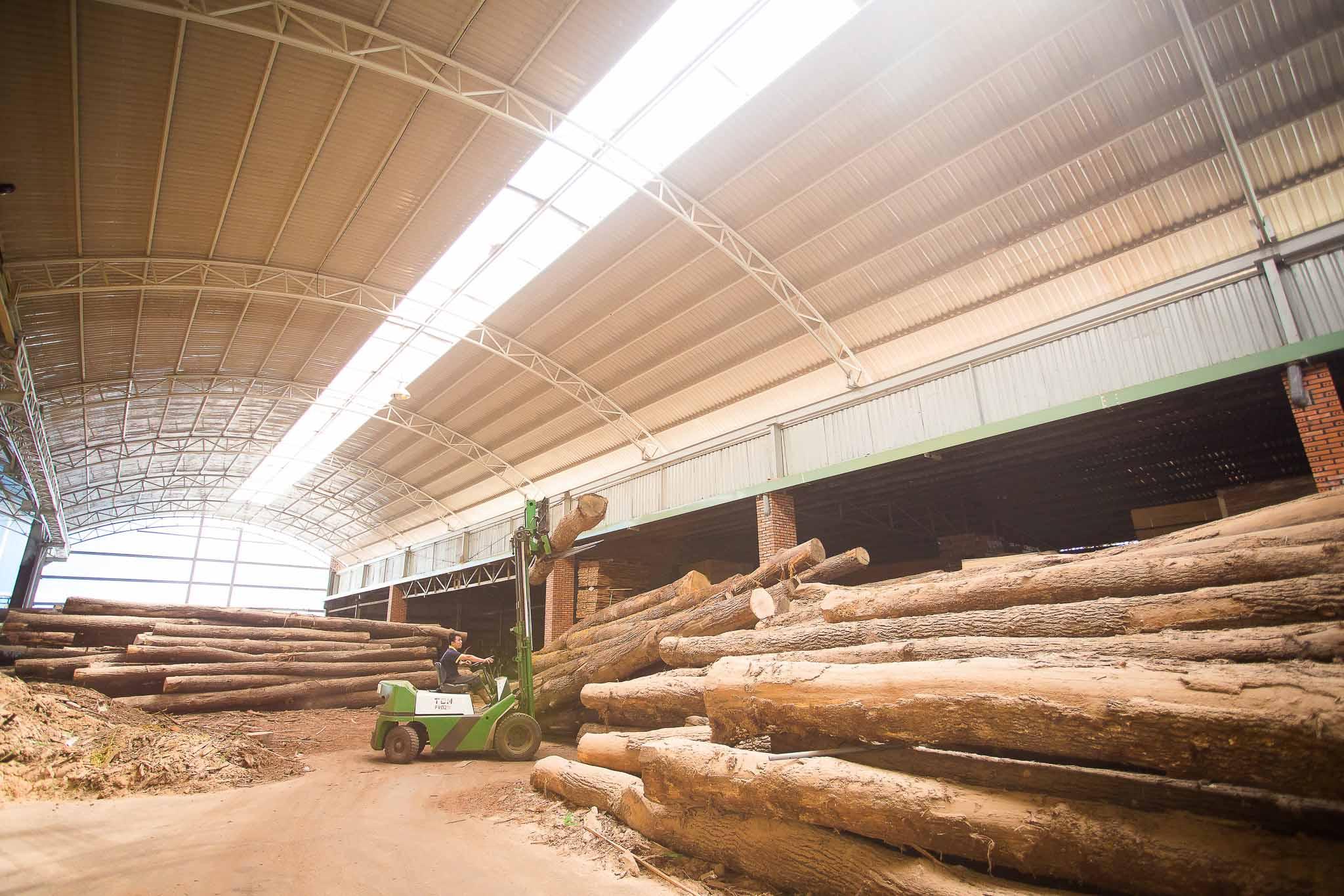 At PurezaWood's factory, a worker is receiving the French White Oak logs.