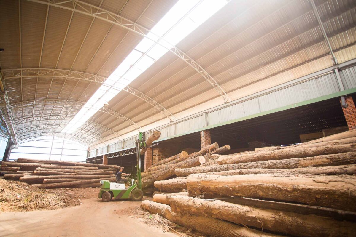 PurezaWood's factory - a worker is receiving French White Oak logs.
